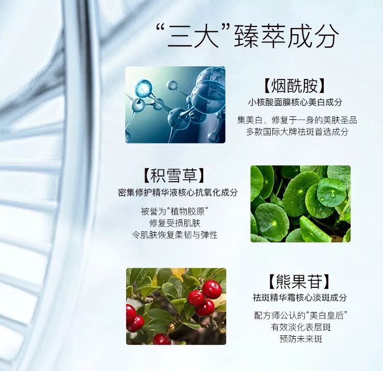 开云平台官网